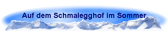 Auf dem Schmalegghof im Sommer